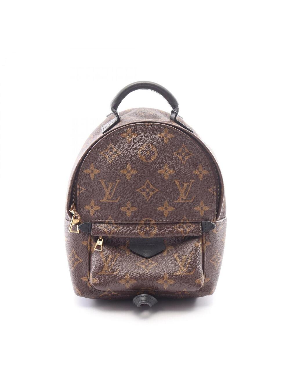 Louis Vuitton Palm Springs Mini #346504L14B